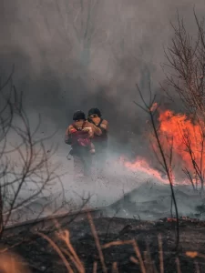 firefighters in a forest fire 